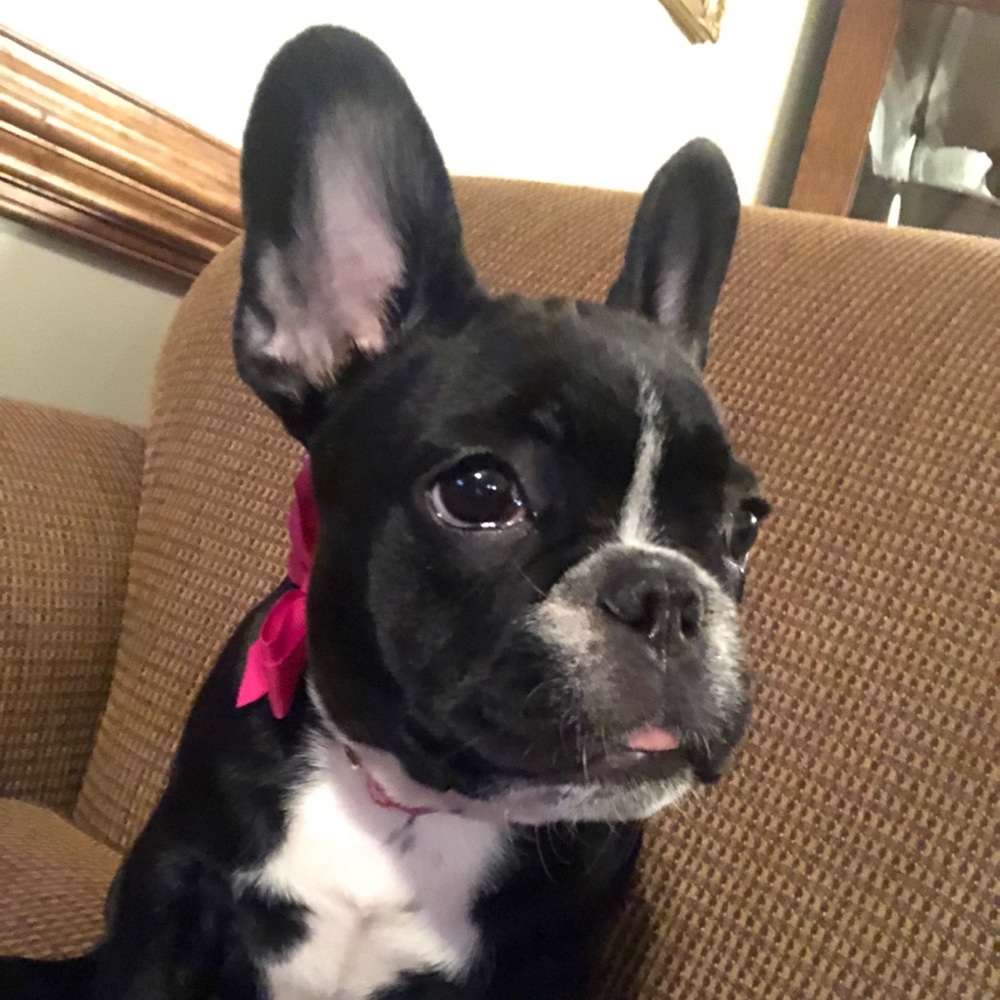 Meet your Posher, Kate